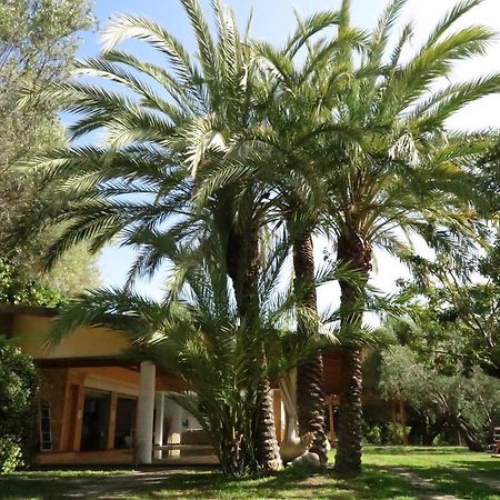 Villaggio Garden Park Marina di Camerota Exterior foto