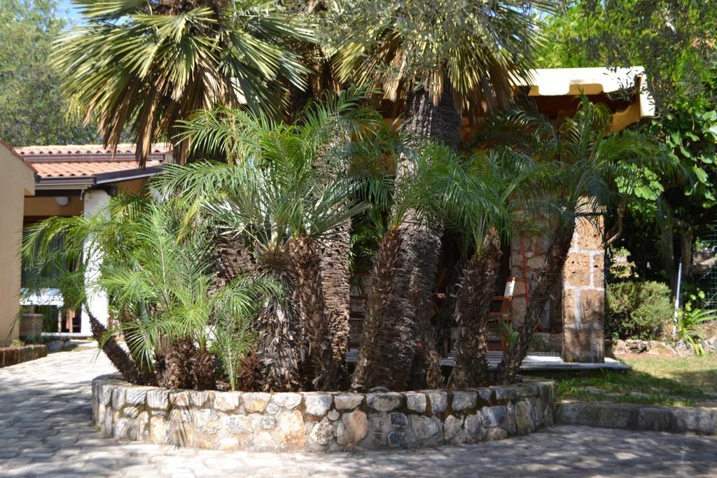 Villaggio Garden Park Marina di Camerota Exterior foto